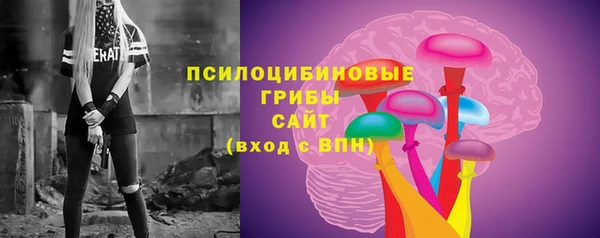 тгк Протвино