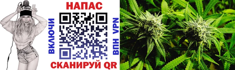 Конопля план  как найти закладки  MEGA   дарк нет Telegram  Тырныауз 